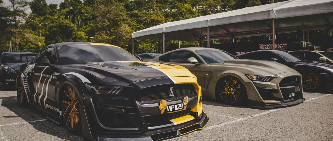 Shelby importeren